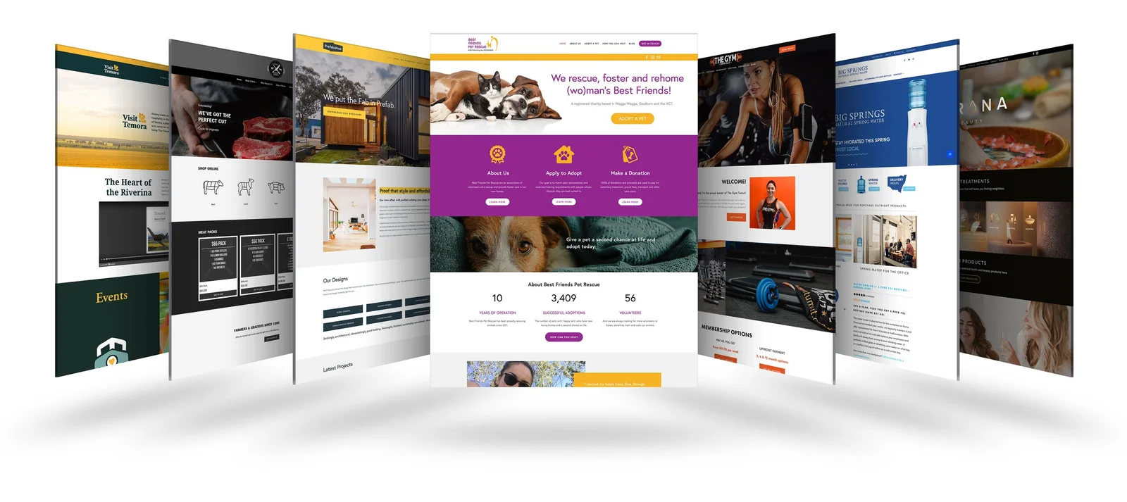 Web Development